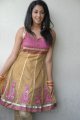 Telugu Actress Gayatri Iyer Hot Stills