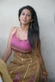 Telugu Actress Gayatri Iyer Hot Stills