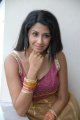 Telugu Actress Gayatri Iyer Hot Stills