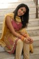 Telugu Actress Gayatri Iyer Hot Stills