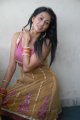 Telugu Actress Gayatri Iyer Hot Stills