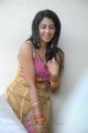 Telugu Actress Gayatri Iyer Hot Stills