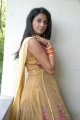 Telugu Actress Gayatri Iyer Hot Stills