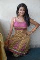 Telugu Actress Gayatri Iyer Hot Stills