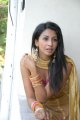 Telugu Actress Gayatri Iyer Hot Stills