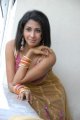 Telugu Actress Gayatri Iyer Hot Stills