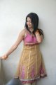 Telugu Actress Gayatri Iyer Hot Stills