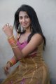 Telugu Actress Gayatri Iyer Hot Stills