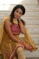 Telugu Actress Gayatri Iyer Hot Stills