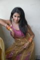 Telugu Actress Gayatri Iyer Hot Stills