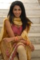 Telugu Actress Gayatri Iyer Hot Stills