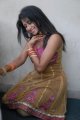 Telugu Actress Gayatri Iyer Hot Stills