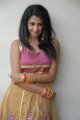 Telugu Actress Gayatri Iyer Hot Stills