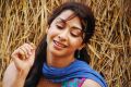 Actress Gayatri Iyer Stills in Dorakadu Movie
