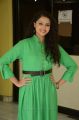 Actress Geetanjali Photos in Green Dress