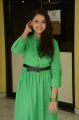 Actress Geetanjali Photos in Green Dress