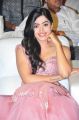 Rashmika Mandanna @ Geetha Govindam Audio Launch Photos