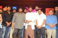 Geetha Govindam Success Celebrations Stills