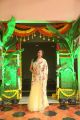 Singer Geetha Madhuri in Saree Saree Photos at Sankarabharanam Awards 2017