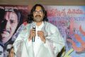 Geetha Platinum Disc Function Photos