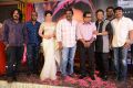 Geethanjali Movie First Look Launch Stills