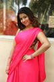Actress Geethanjali Thasya Hot in Pink Saree Images