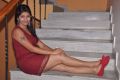 Telugu Actress Geetanjali Hot Pics in Red Dress