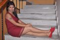 Telugu Actress Geethanjali in Red Dress Hot Pics