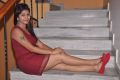 Telugu Actress Geetanjali Thasya Hot Pics in Red Dress