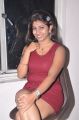 Telugu Actress Geetanjali Thasya Hot Pics in Red Dress