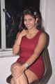 Telugu Actress Geethanjali in Red Dress Hot Pics