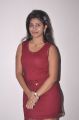 Telugu Actress Geethanjali Thasya Hot Pics in Red Dress