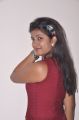 Telugu Actress Geethanjali in Red Dress Hot Pics