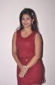 Telugu Actress Geethanjali in Red Dress Hot Pics