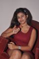 Telugu Actress Geethanjali Thasya Hot Pics in Red Dress