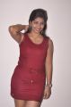 Telugu Actress Geetanjali Thasya Hot Pics in Red Dress