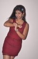 Telugu Actress Geethanjali Thasya Hot Pics in Red Dress