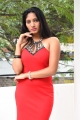 King of Golkonda Movie Actress Gehana in Red Dress Pictures