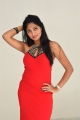 Actress Gehana Red Dress Pictures @ King of Golkonda Press Meet