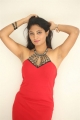 King of Golkonda Movie Actress Gehana in Red Dress Pictures