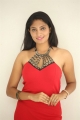 King of Golkonda Movie Actress Gehana in Red Dress Pictures