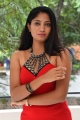 Actress Gehana Pictures @ King of Golkonda Movie Press Meet