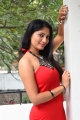 King of Golkonda Movie Actress Gehana in Red Dress Pictures