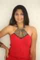 King of Golkonda Actress Gehana Red Dress Pictures