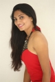 Actress Gehana Red Dress Pictures @ King of Golkonda Press Meet