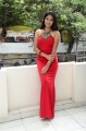 King of Golkonda Actress Gehana Red Dress Pictures