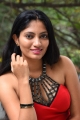 King of Golkonda Movie Actress Gehana in Red Dress Pictures