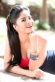 Tamil Actress Gehana Vasisth Hot Photo Shoot Images