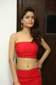 Actress Gehana Vasisth in Red Dress Photos @ Glamour Girls Movie Opening