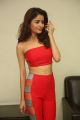 Actress Gehana Vasisth in Red Dress Photos @ Glamour Girls Movie Opening